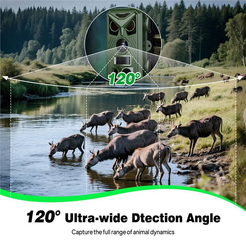 BTLIFE-Wildlife Surveillance 1 - Trail Camera Infrared recension och pris