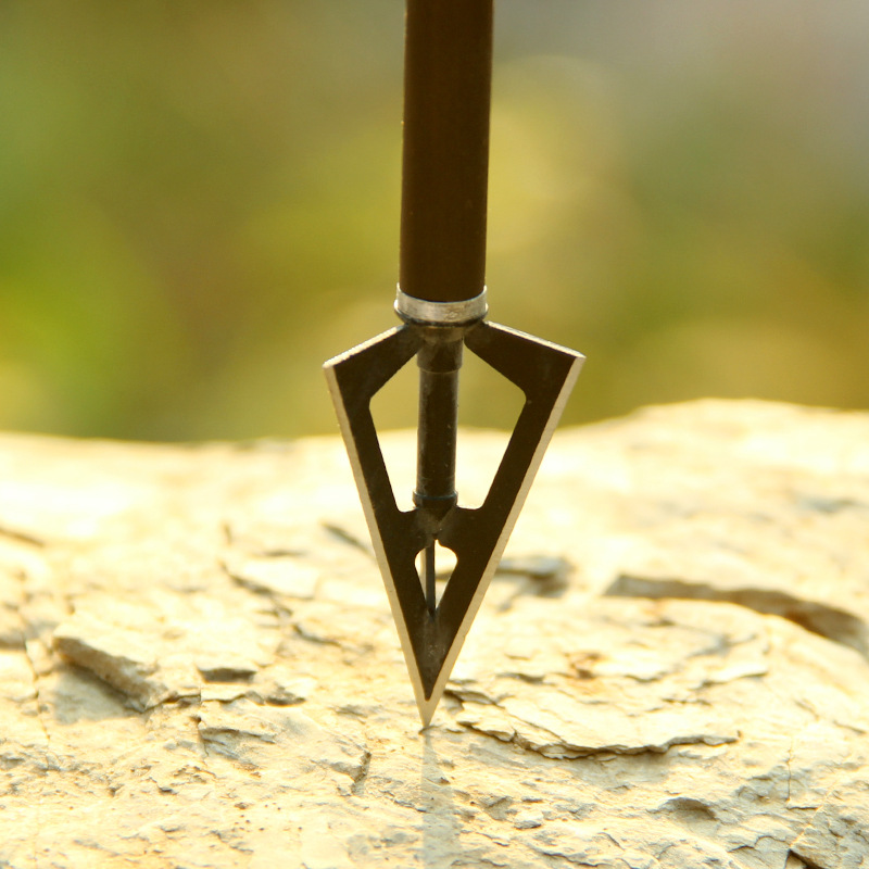 In Store 5PCS Devil Archery Po - Hunting Outdoor Store recension och pris